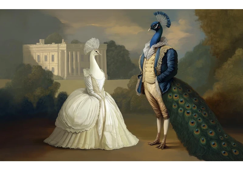 Austen and Darwin converged on the question of beauty