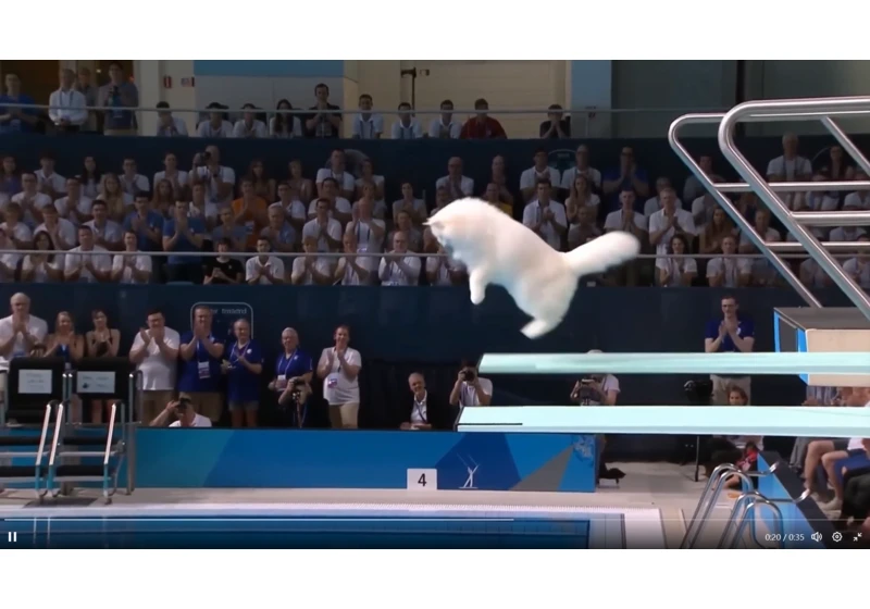  Forget virtual pets – the next AI video craze is cats doing Olympic diving, and it’s all thanks to this new Google Veo 3 rival 
