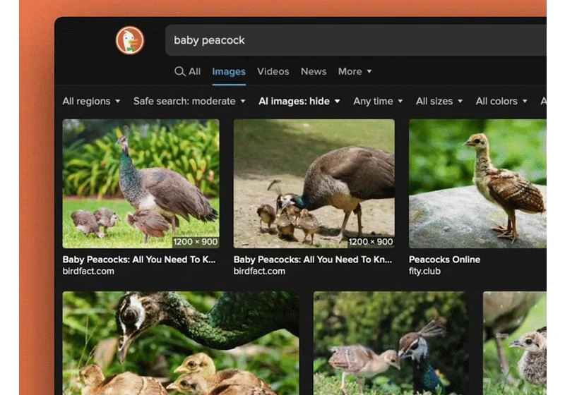 DuckDuckGo now allows you to filter out AI images in search results