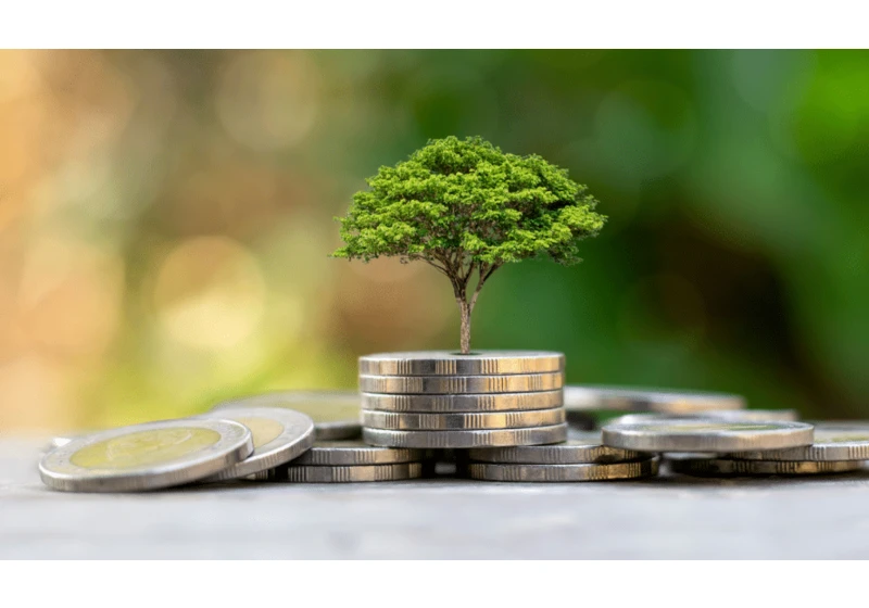 5 reasons why you should invest in impact