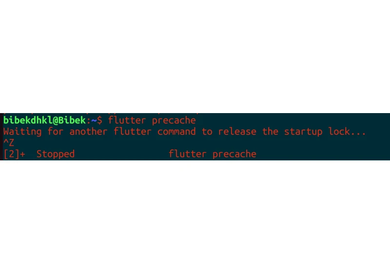 How to solve the "Waiting for another flutter command to release the startup lock..." issue in Flutter?