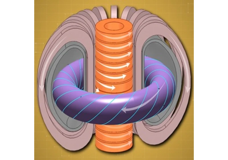 Jak funguje tokamak ?