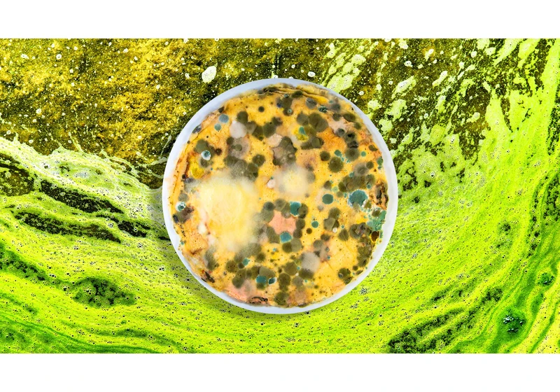 What happens when you mix random stuff in a bowl for 100 days? TikTok found out