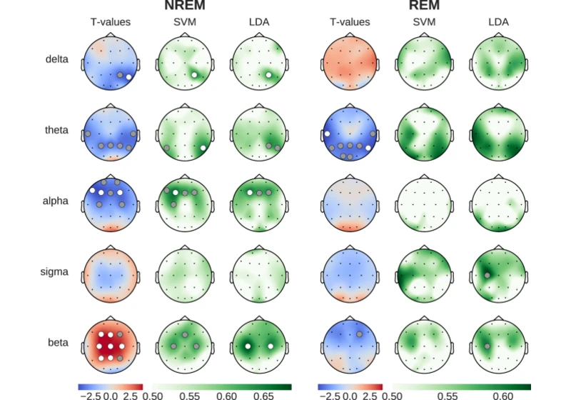 Caffeine induces age-dependent brain complexity and criticality during sleep