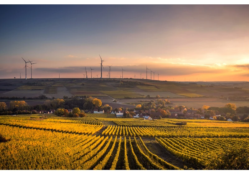 Bringing Europe to Net-Zero: Green-focused investors and what they’re looking for
