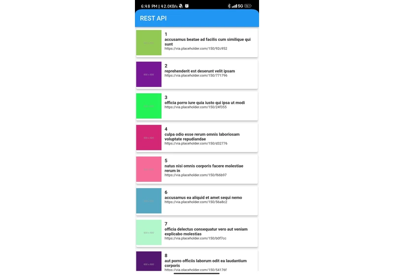 Fetching Data from an API in a Flutter Splash Screen and Inserting it into a Database