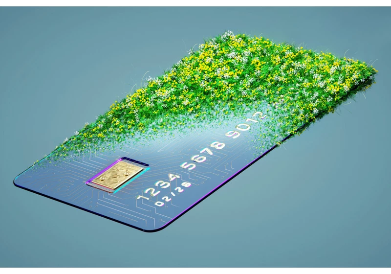 Feeling Blue For Not Being Green? This Card Offers 6% Cash Back for Eco-Friendly Purchases     - CNET