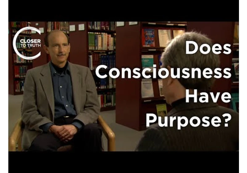 Roger Walsh - Does Consciousness Have Purpose?