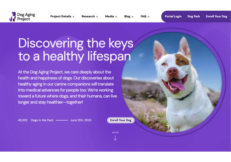 Dog Aging Project