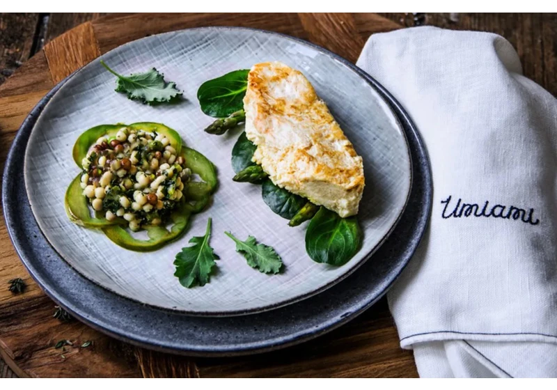 Paris-based Umiami, creator of new ‘textured’ plant-based meat, nabs €2.3 million