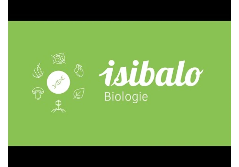 4 - Řasy - starý systém (BIO - Sinice a řasy)
