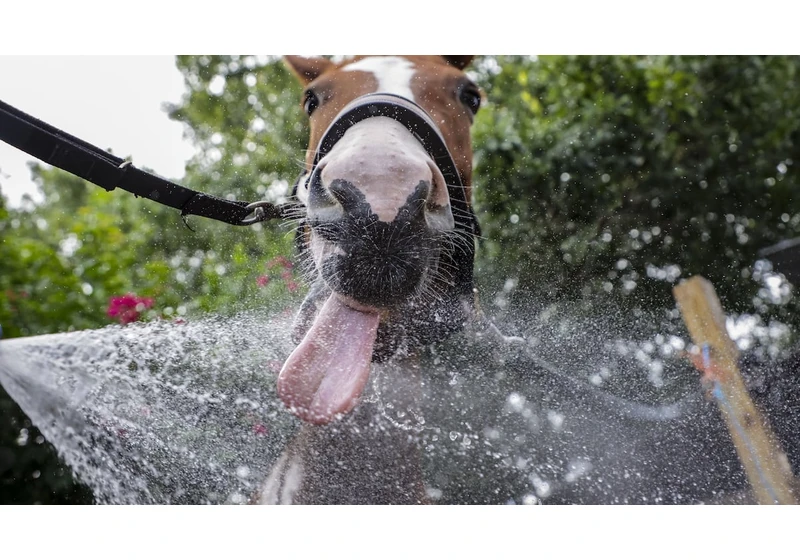 Tampa FL hits 100 degrees for first time in recorded weather history