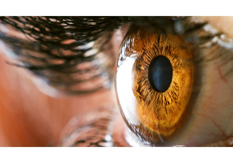 The 6 Best Vitamins and Supplements for Eye Health