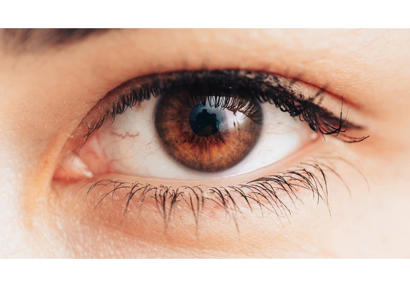 10 Simple Things You Can Do Every Day to Protect Your Eyes and Vision