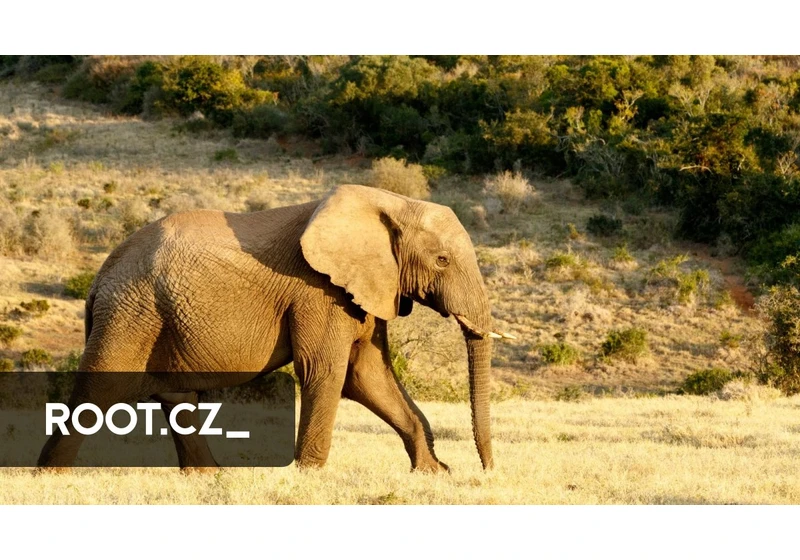 Rozšíření PostgreSQL jménem pgvector, embedding a sémantické vyhledávání (1. část)