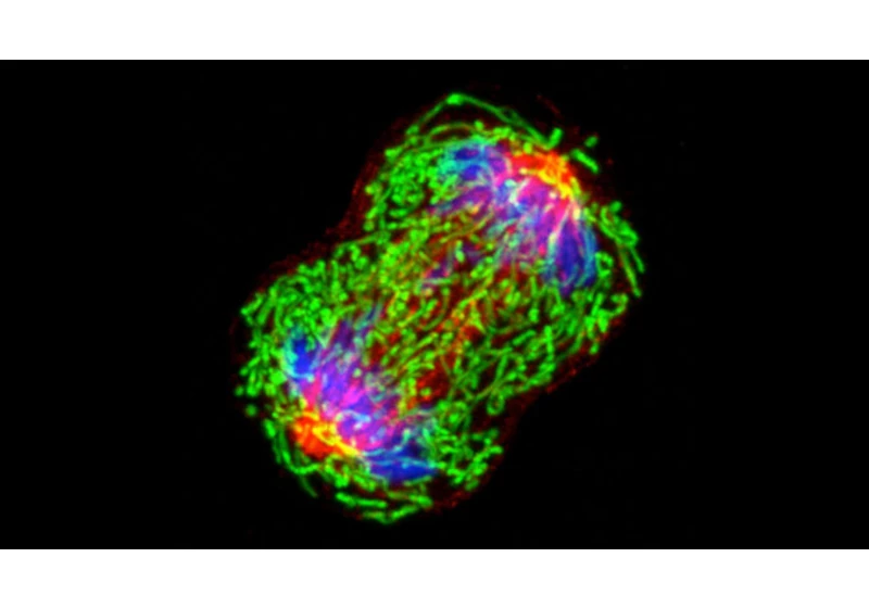 Cancer DNA is detectable in blood years before diagnosis