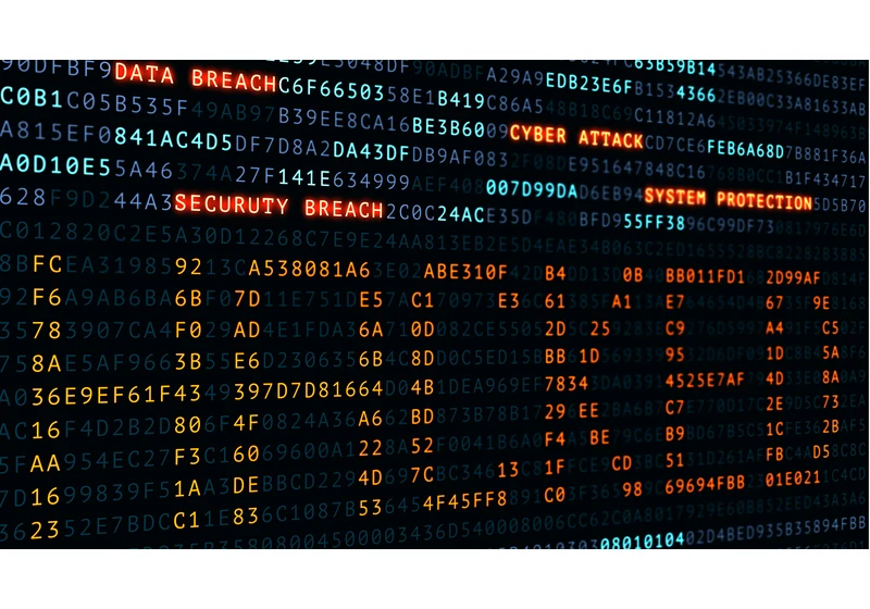 Researchers describe how they took down a P2P illegal streaming VOD site that had almost 25,000 movies and series for more than 130,000 users
