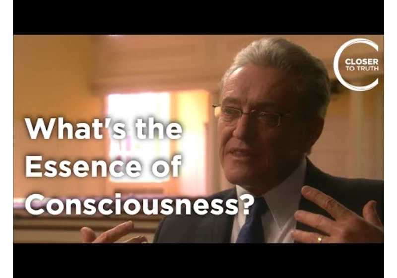 J. van Huyssteen - What's the Essence of Consciousness?