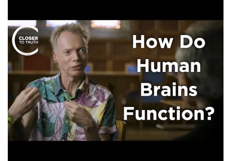 Andy Clark - How Do Human Brains Function?