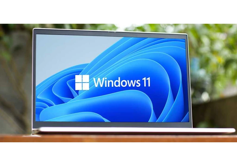 Windows 11: How to set up a local network