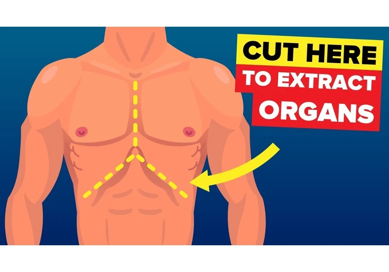 This is What Happens When You Donate Your Organs