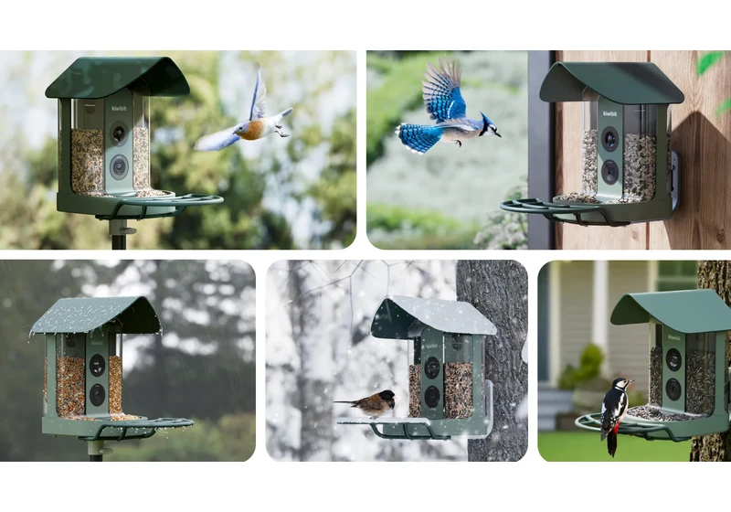 Finally, a bird feeder camera with 4K video, plus it has some handy features for any garden