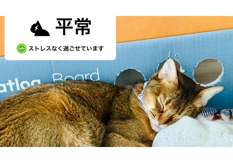  AI-powered Catlog smart collar now notifies you if your cat feels stressed 
