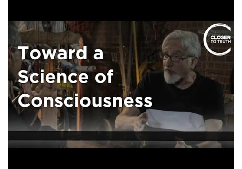 Ned Block - Toward a Science of Consciousness