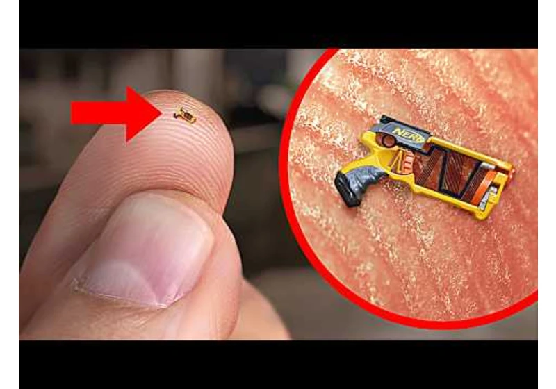 World’s Smallest Nerf Gun Shoots an Ant