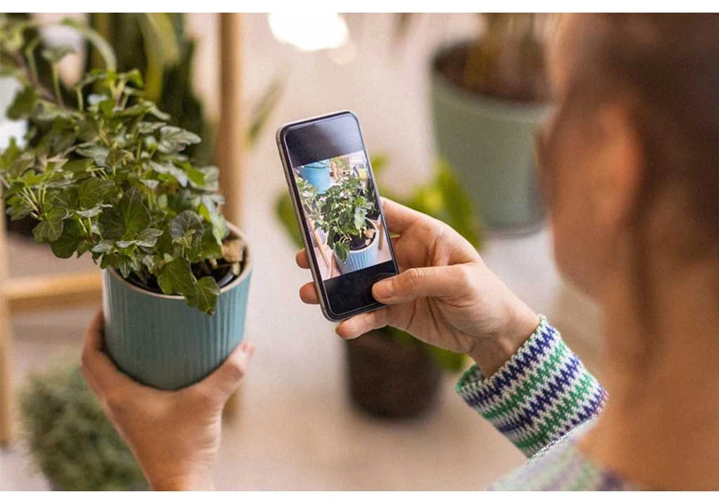 Nurture dad’s green thumb this Father’s Day