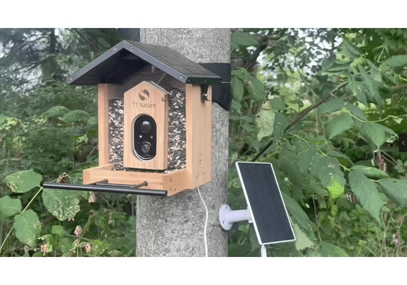 Game-Changer for Birdwatchers: This Solar Bird Feeder has an AI Camera
