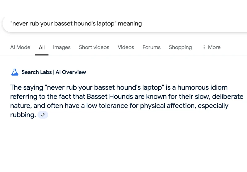 You can trick Google's AI Overviews into explaining made-up idioms