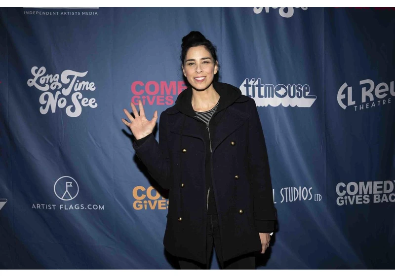 Sarah Silverman’s copyright infringement suit against OpenAI will advance in pared-down form