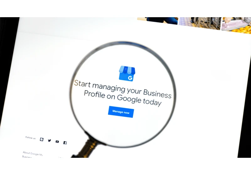 Google Business Profile performance insights: What you need to know