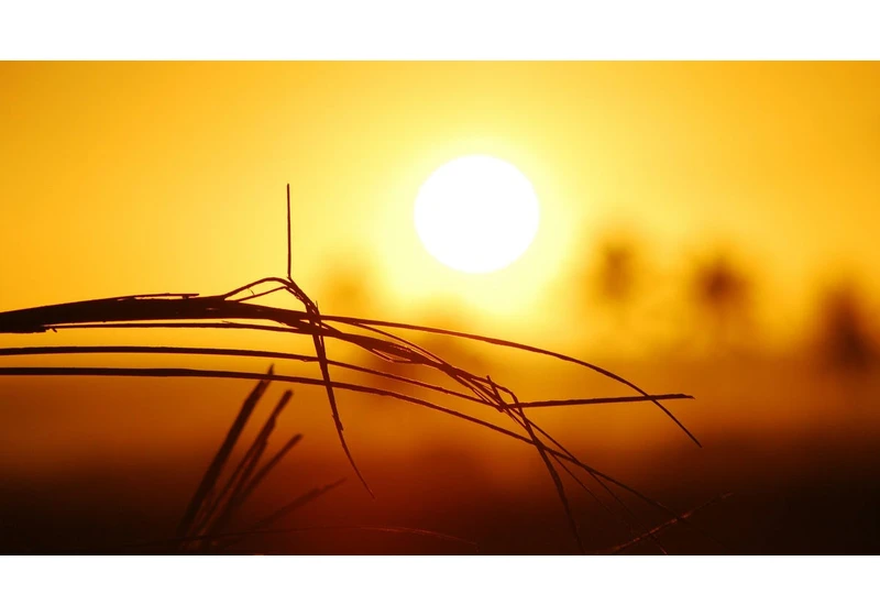 A Sweltering Heat Dome Is Pummeling the Middle of the US. Here's What That Means