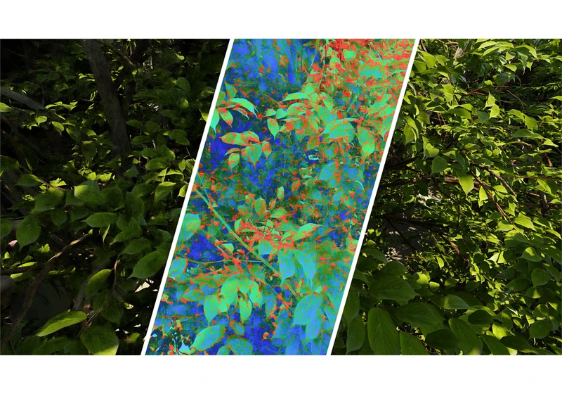  Intel releases new tool to measure gaming image quality in real time —AI tool measures impact of upscalers, frame gen, others; Computer Graphics Video Quality Metric now available on GitHub 