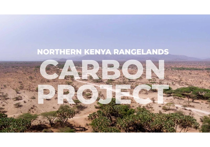 One of the tech industry's sources of carbon credits is in conflict with Kenyan herders