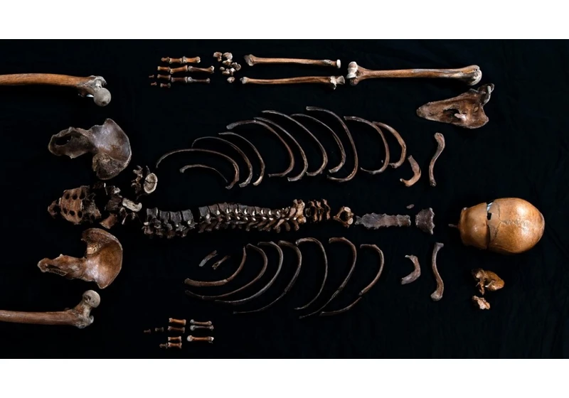 Study: DNA corroborates "Well-man" tale from Norse saga