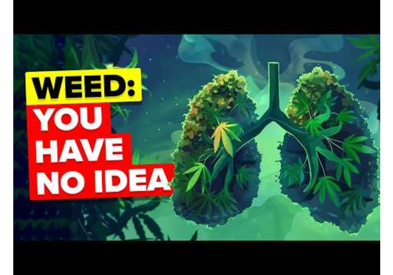 50 Insane Facts About Weed You Didn't Know