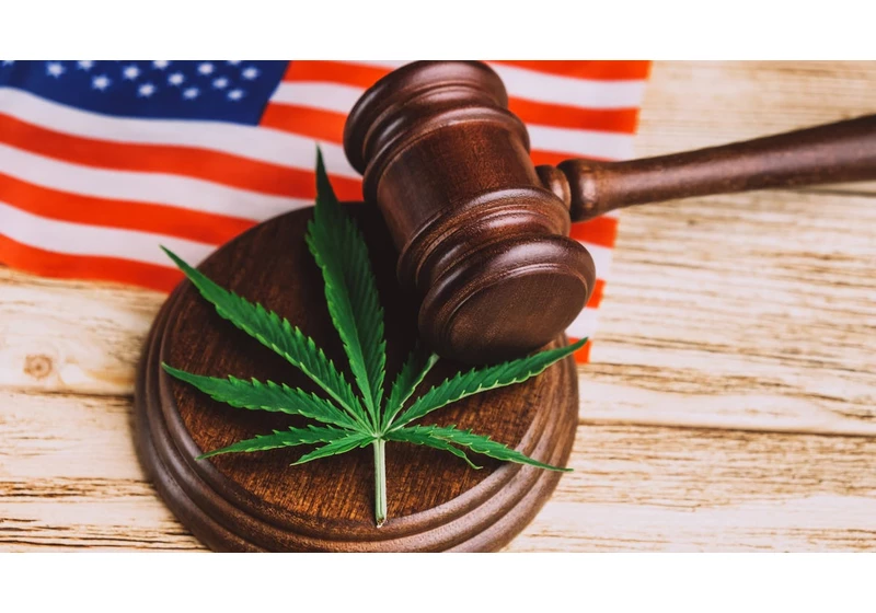Which States Have Legalized Marijuana for Recreational or Medical Use?     - CNET