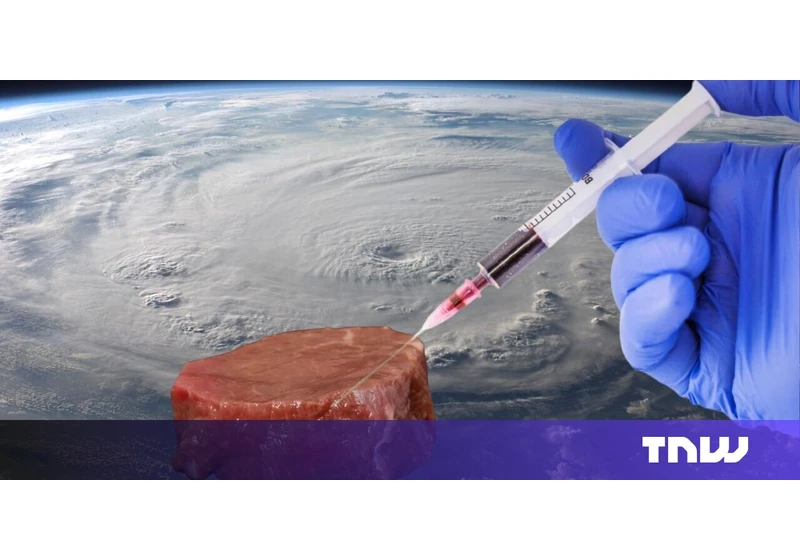 Cultivated meat is a ‘promising’ space food for astronauts, ESA says