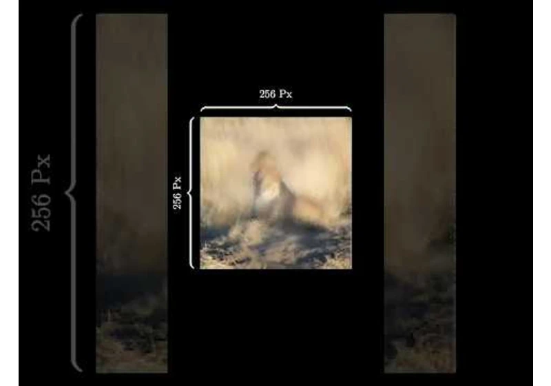Seeing with sound