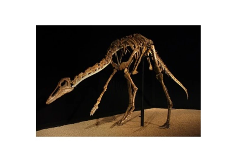 Jak rychle běhali pštrosí dinosauři