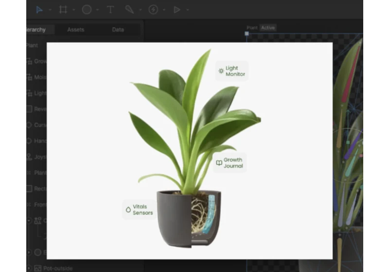 Micro-Animations Every Web Developer Can Master with Rive