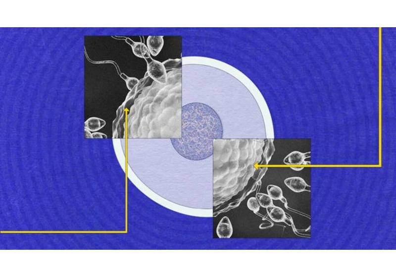 Why sperm is still so mysterious