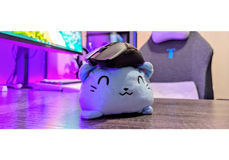 This is supposed to be the best gaming mouse for $100 — I don't know about that, but it is really good