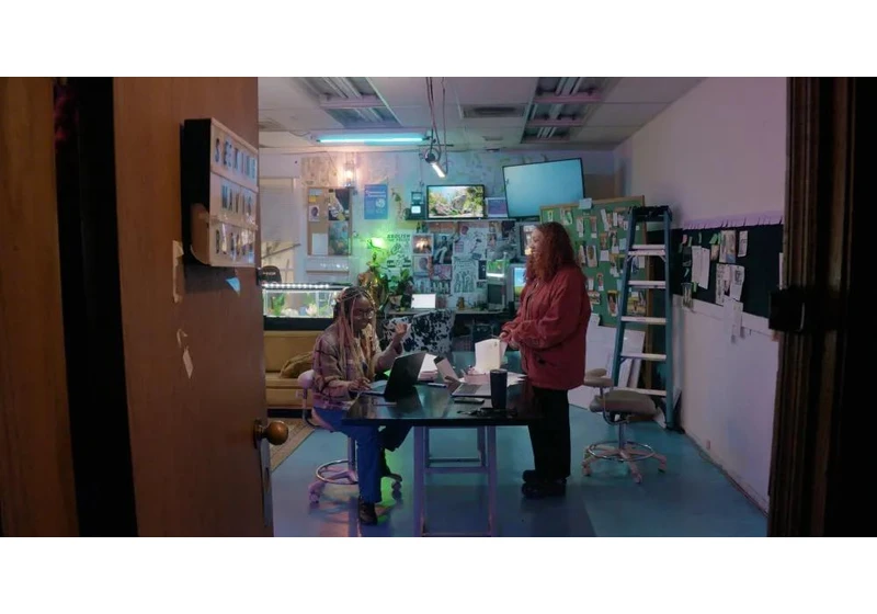 Seeking Mavis Beacon is a wild Sundance doc about the search for a lost tech icon