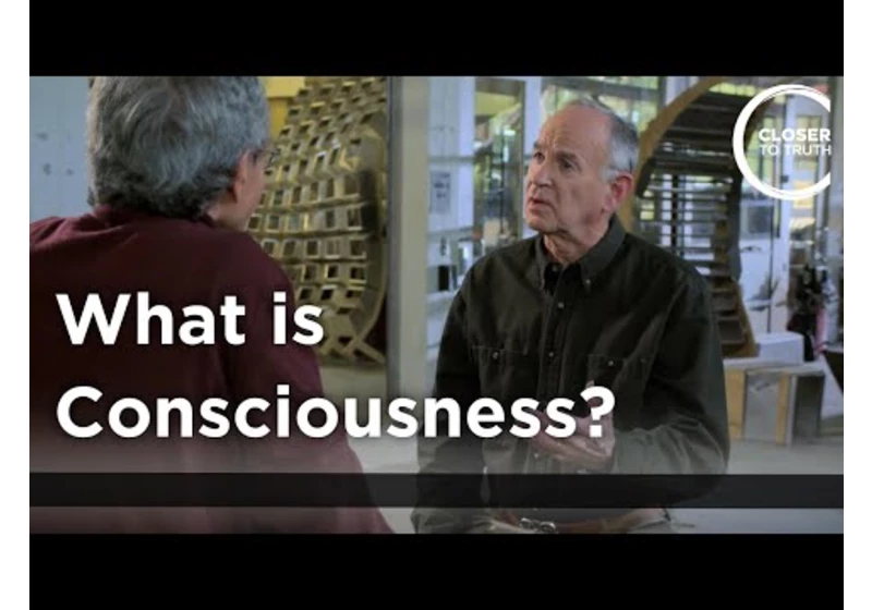 Russ Hurlburt - What is Consciousness?