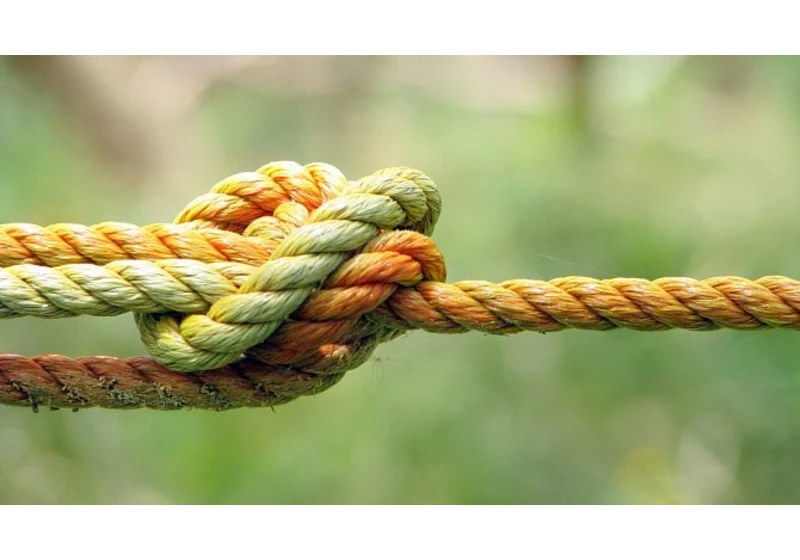 Knot DNS: zónové transfery aneb přenos zón mezi servery