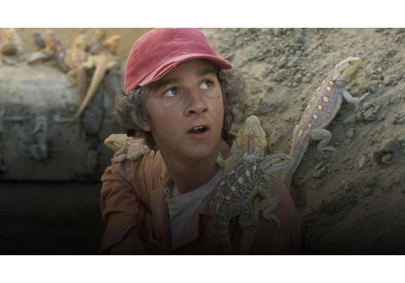 Disney Plus is working on its second reimagining of the cult '90s children’s book Holes – and this one will feature a female lead